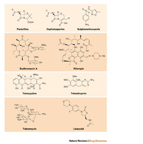 future challenges facing  development   antimicrobial drugs