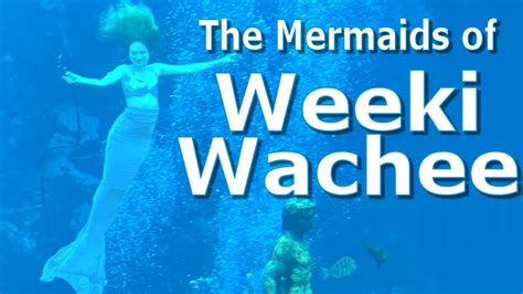 The Mermaids Of Weeki Wachee Florida Youtube