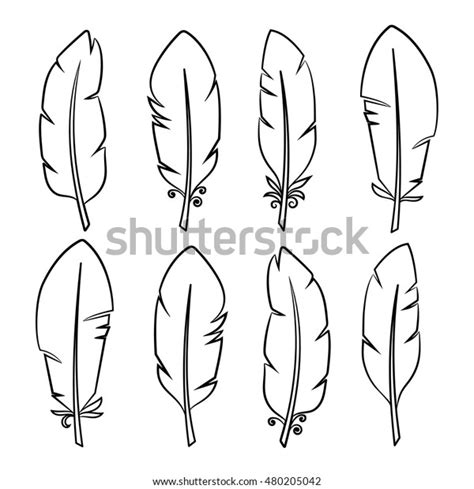 Set Isolated Feathers On White Background Stock Vector Royalty Free