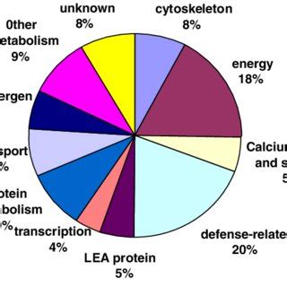 Functional Classification Of Identified Proteins From Mature