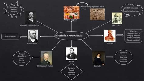 Historia De La Neurociencias Ppt