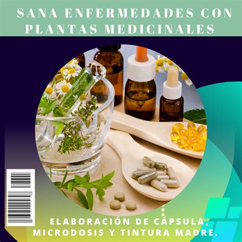 Aprende A Sanar Enfermedades Con Plantas Medicinales Academia De