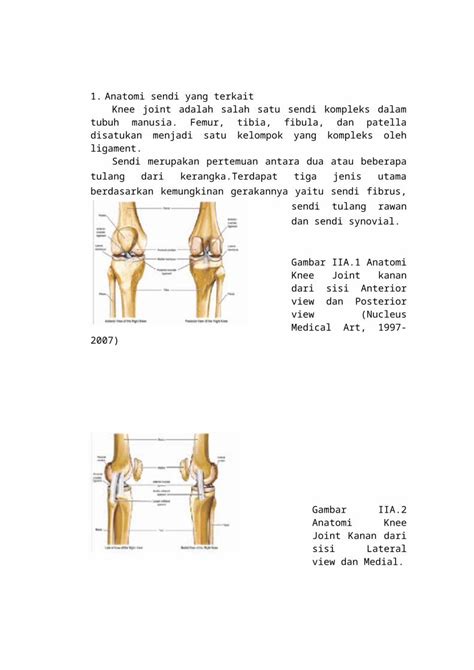 DOCX Anatomi Artritis Gout DOKUMEN TIPS