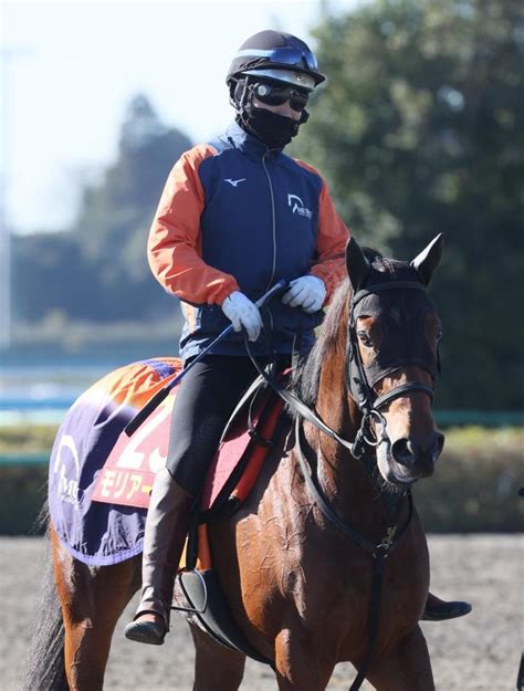 【阪神jf】モリアーナは3枠 武藤師並びにニヤリ「有力馬が外入ったのはいい」競馬・レースデイリースポーツ Online