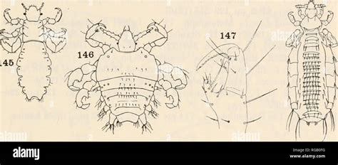 . Bulletin of the Museum of Comparative Zoology at Harvard College. Zoology. BRUES AND MELANDER ...