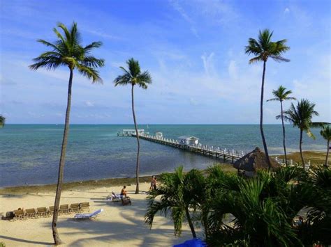 Enjoy the beach views at Cheeca Lodge | Beach view, Cheeca lodge, Beach