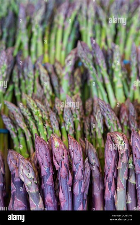 A Display Of Colourful Green And Purple Asparagus For Sale On A Farmers