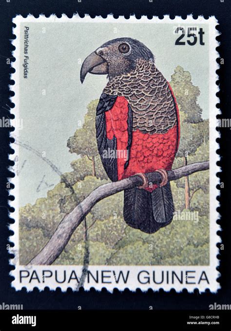 Papua New Guinea Circa A Stamp Printed In Papua Shows Pesquet S