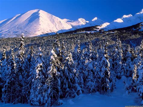 Alaska Winter Wallpapers - Top Free Alaska Winter Backgrounds ...