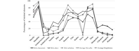 Relative Abundance Of Skeletal Elements Based On The Mni In The Small