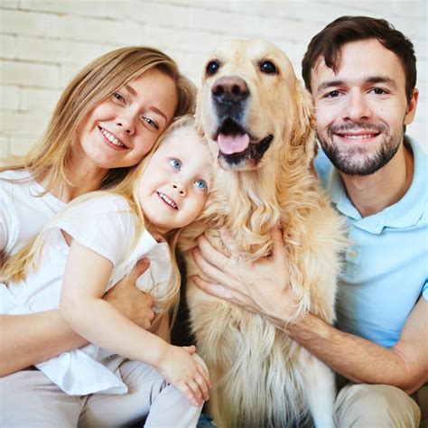 La Importancia De Las Mascotas Para La Salud Mental