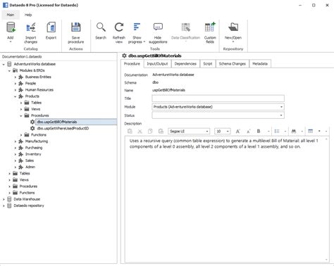 Documenting Stored Procedures And Functions Dataedo Documentation