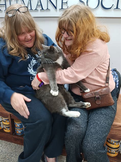 HERITAGE HUMANE SOCIETY - Williamsburg VA - Hours, Directions, Reviews