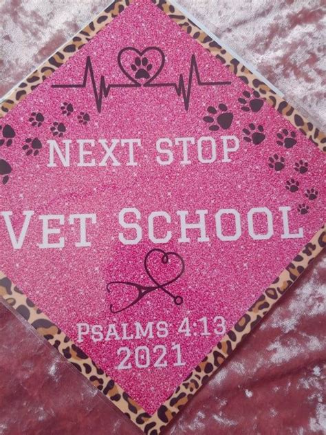 Graduation Cap Toppervet Schoolanimal Science Vet Etsy