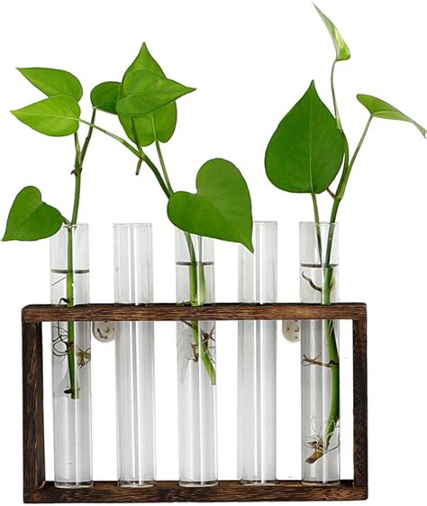 XXXFLOWER Plant Propagation Station Terrarium With Test Tube Desktop