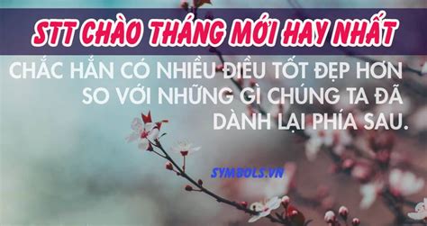 Symbols Vn Stt Chào Năm Mới 2021 Hay Nhất ️ Status Chúc Mừng Năm Mới