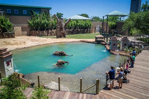 Explore The Zoo - The Houston Zoo