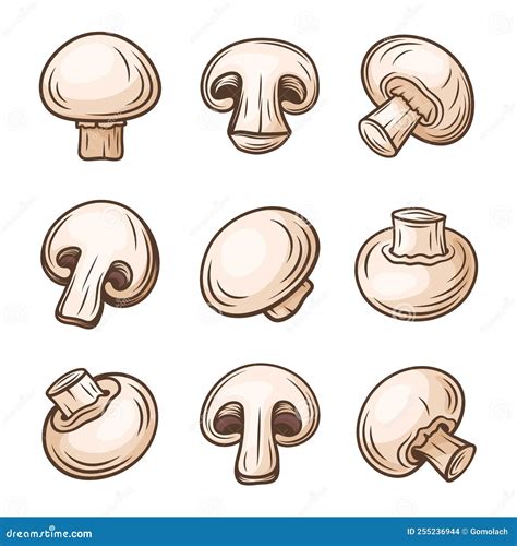 Vector Hand Drawn White Champignon Mushroom Set Cartoon Champignon