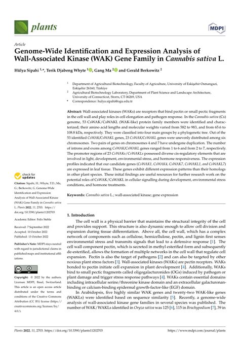 Pdf Genome Wide Identification And Expression Analysis Of Wall