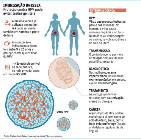 O Que O Hpv Em Homens Pode Causar E Como Tratar Mobile Legends