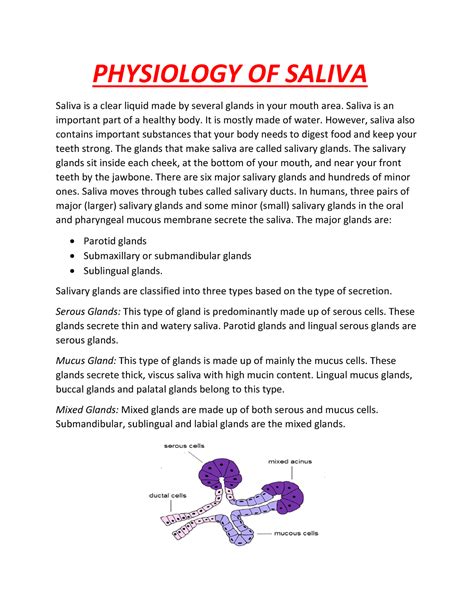 Physiology Of Saliva Physiology Of Saliva Saliva Is A Clear Liquid