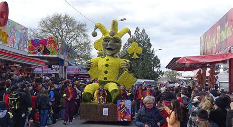 F Te Des Jonquilles Comit Des F Tes De St Etienne De Montluc