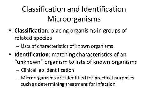 PPT - Lesson 4: Classification of Microorganisms PowerPoint ...