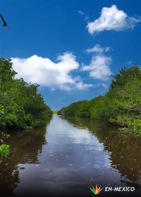 Vive Una Aventura Ecotur Stica En Dzilam De Bravo Con Cenotes Playas