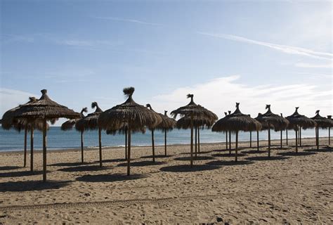 Spiaggia Gli Ombrelli Ombra Foto Gratis Su Pixabay Pixabay