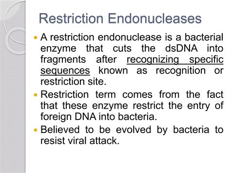 Dna Manipulation Enzymes Ppt