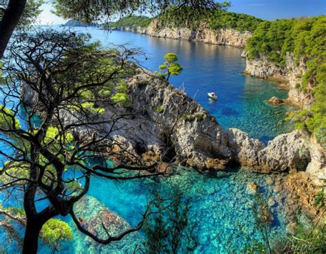 From Dubrovnik Elaphiti Islands Blue Cave Speedboat Tour Getyourguide