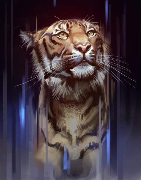 Tiger Study By Tehchan On Deviantart