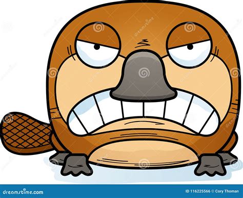 Cartoon Angry Platypus stock vector. Illustration of vector - 116225566