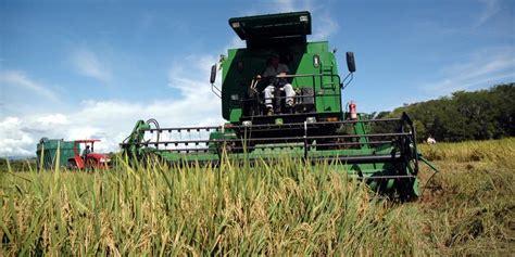 Descubre Todo Sobre La Agricultura En Colombia Y Mucho Más