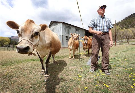 Year Round Farming Can Help Satisfy Off Season Demand But Its Challenging Work The Durango