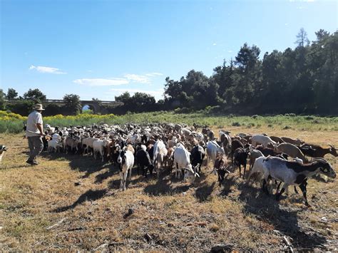 Activitats Al Paratge Natural De Poblet La Conca