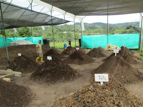 GRUPO DE INVESTIGACIÓN ABONOS ORGÁNICOS FERMENTADOS