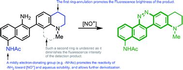 Amino Dialkylaminobiphenyl Based Fluorescent Intracellular Probes