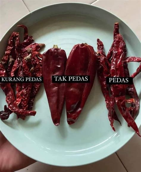 Jenis Jenis Cili Kering Ikut Tahap Kepedasan Yang Anda Kena Tahu