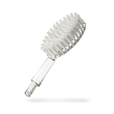 Radius Big Brush Replacement Head Soft 2 Count Pack