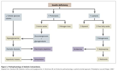 Diabetic Ketoacidosis Endocrinology Today