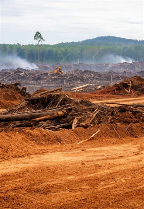 Premium Photo Cutting Down And Burnt Rainforest Felled And Uprooted Trees Fumes And Smoke