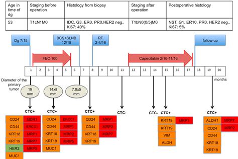 Indication of "additional" adjuvant therapy in a breast cancer patient ...