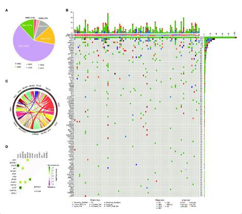 Genomic Landscape Of Mds Patients With Sf B Mutation A