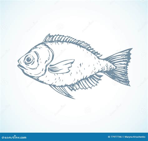 Bluefish Black Hand Drawn Realistic Outline Vector Image