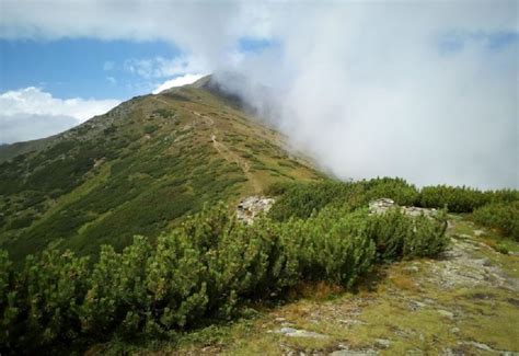 Wycieczki W Tatry I W Pieniny Z Przewodnikiem