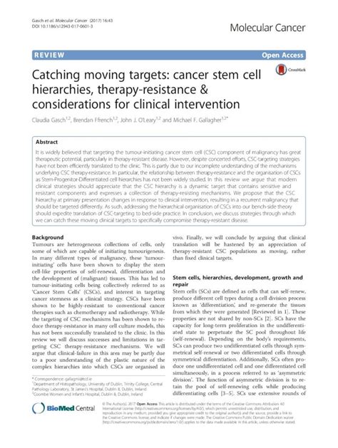 PDF Catching Moving Targets Cancer Stem Cell Hierarchies