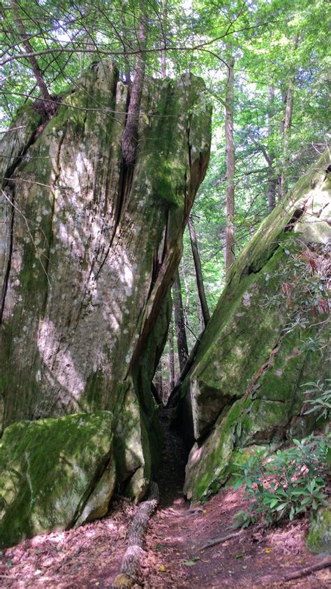 Gladie Creek Loop Bison Way Lost Branch Osborne Bend Tower Rock