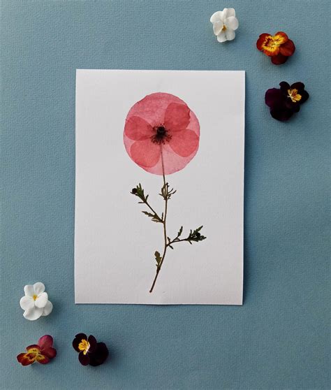 Poppy Artwork Pressed Flower Art Print Poppy Gifts for Mum - Etsy