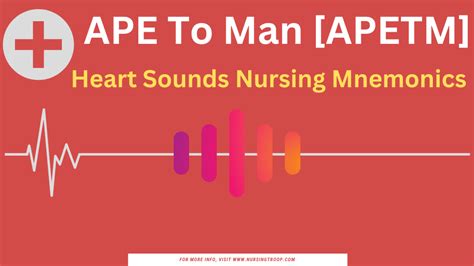 APE To Man [APETM] Heart Sounds Nursing Mnemonics - NursingTroop